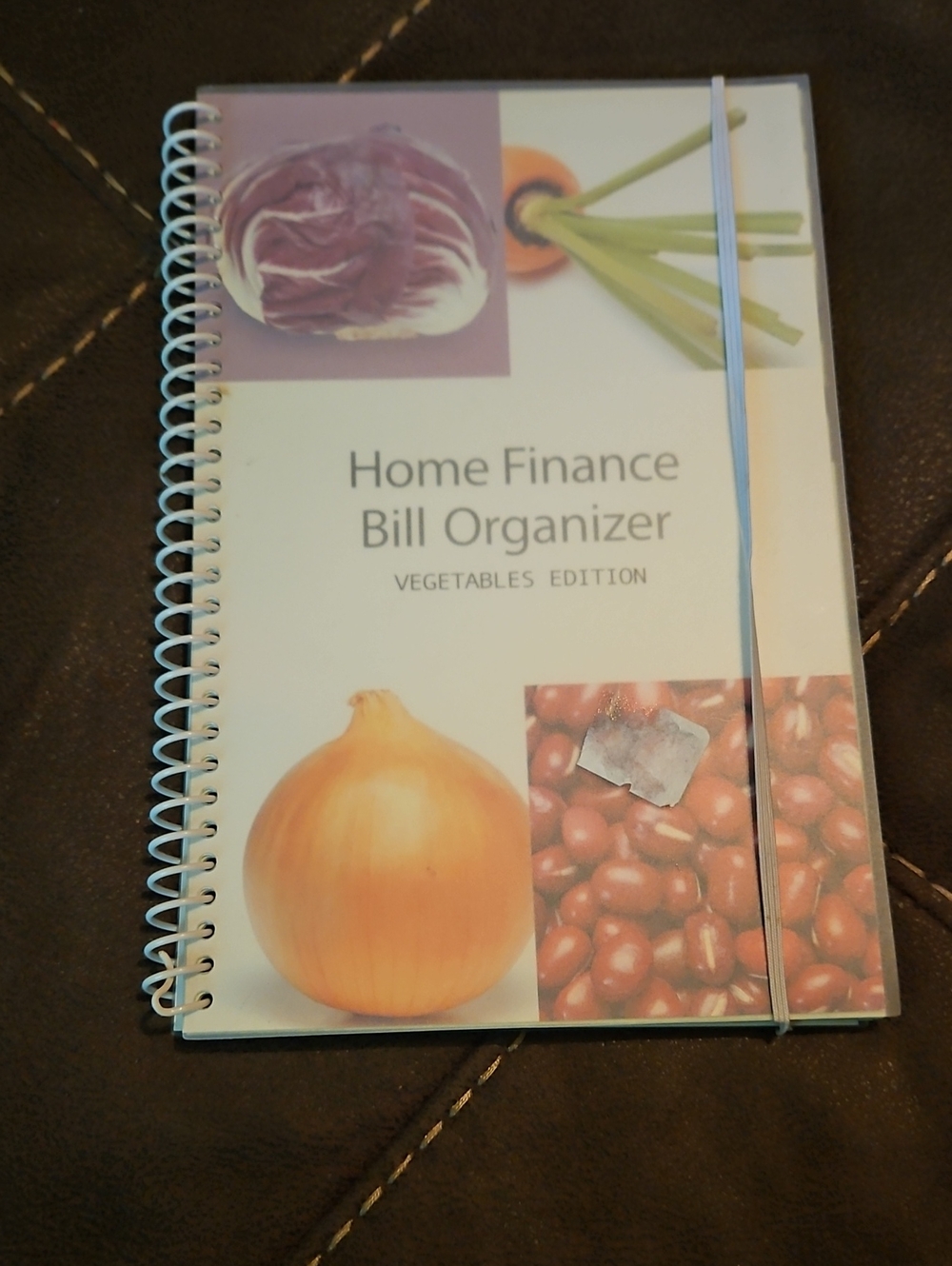 Home Finance Bill Organizer - Vegetables Edition (Light Blue)